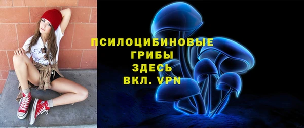 сатива Баксан
