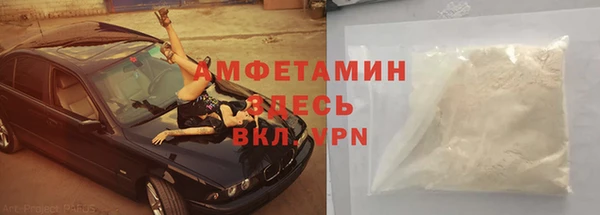 сатива Баксан