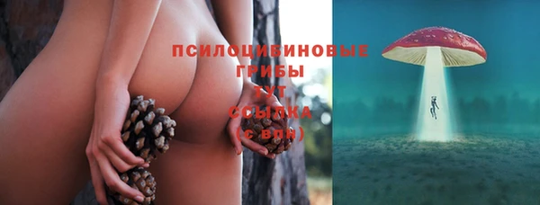 сатива Баксан