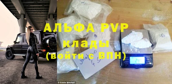 сатива Баксан