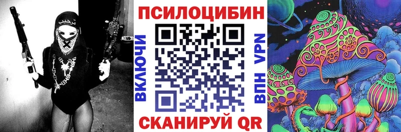Галлюциногенные грибы GOLDEN TEACHER  магазин продажи наркотиков  Краснообск 